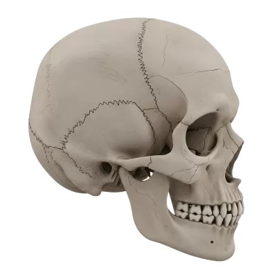 Imagen PNG para descargar